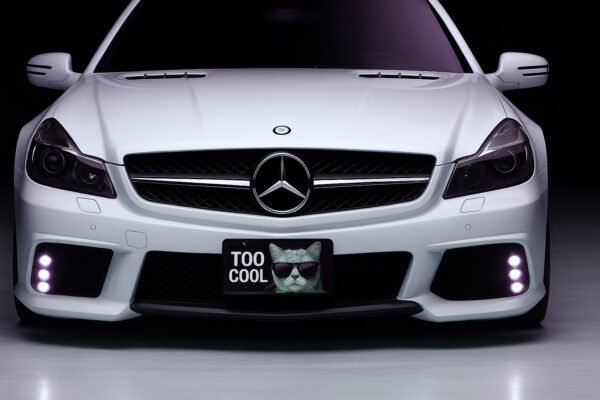 Custom Aluminum License Plates – Personalized Car Tags with Your Photo or Text - Image 2